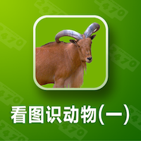 看图识动物